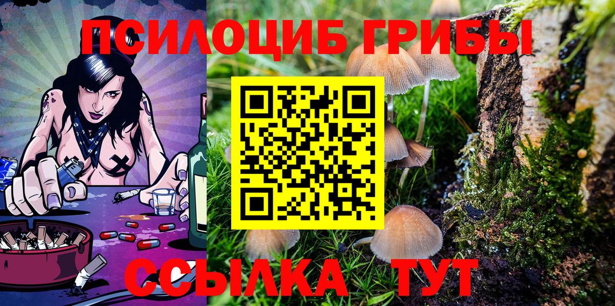 Галлюциногенные грибы Psilocybine cubensis  Вход с VPN  Пятигорск 